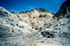 OLDPICTURE-306-2011-03-06.jpg